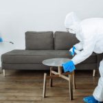 5 Reasons for implementing Pest Control in your workplace