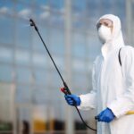 <strong>Bite-Free Zone: How Pest Control Enhances Employee Safety and Health</strong>